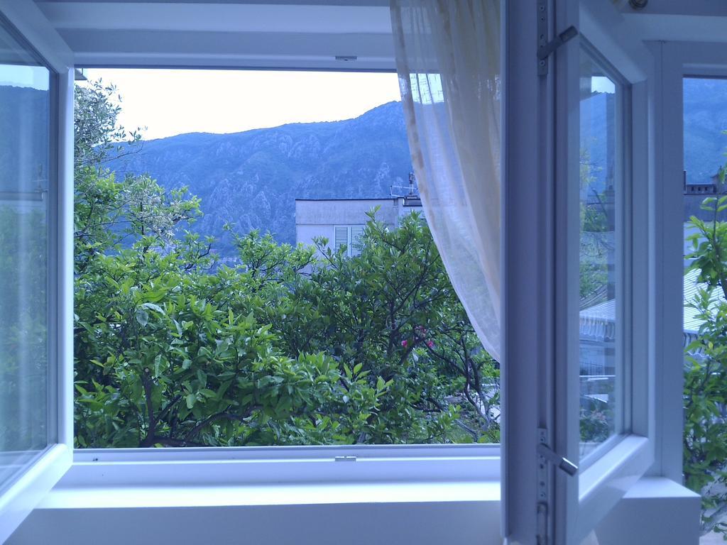 Kotor Kelly Apartments Rum bild
