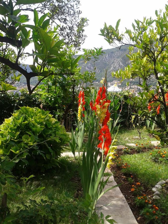 Kotor Kelly Apartments Exteriör bild